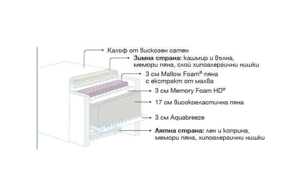 MAESTRO DUAL - Image 4