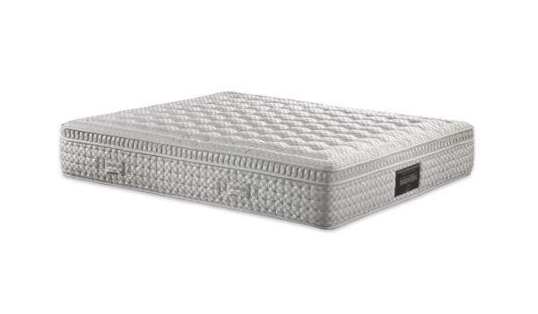 MAESTRO DUAL - Image 5