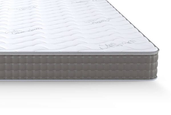 SILVER PLUS - Image 2
