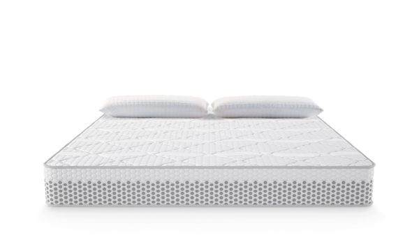 VIVO - Image 2