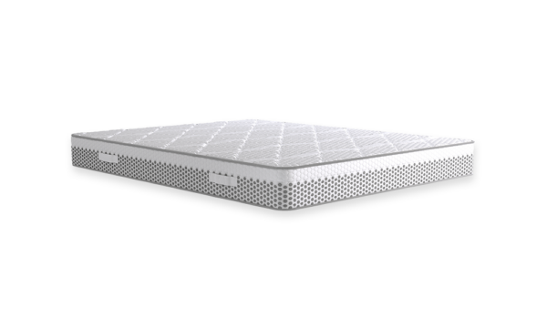 VIVO - Image 4
