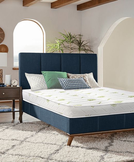 Aloe Spring - Image 2