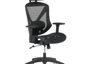 Ергономичен стол CAEN - черен