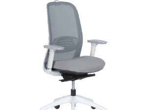 Ергономичен стол PANTIN - сив