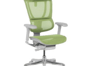 Ергономичен стол ERGOHUMAN IOO ELITE 2 - сива рамка - зелен