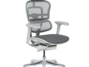 Ергономичен стол ERGOHUMAN ELITE 2 - сива рамка - сив