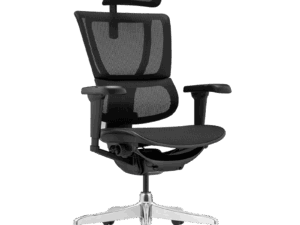 Ергономичен стол ERGOHUMAN IOO ULTRA - черна рамка - черен